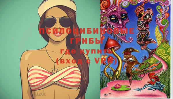 гидра Армянск